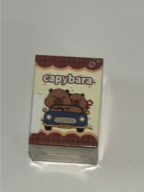 Capybara character mystery box